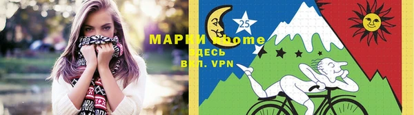 молекула духа Ельня