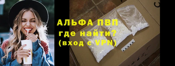 молекула духа Ельня