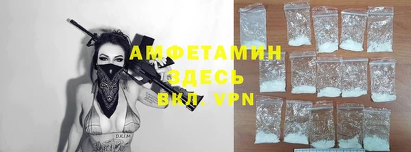 молекула духа Ельня
