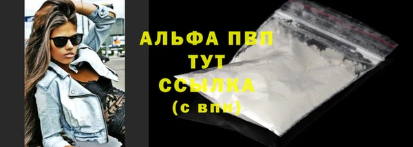 молекула духа Ельня