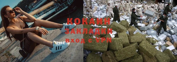 молекула духа Ельня