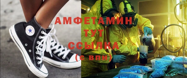 молекула духа Ельня