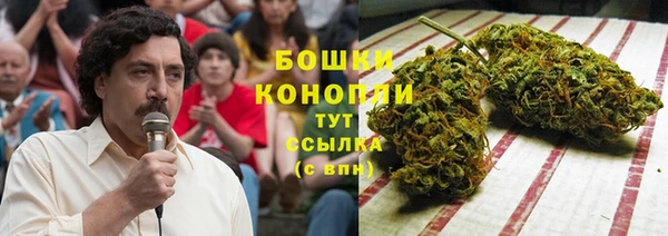 молекула духа Ельня
