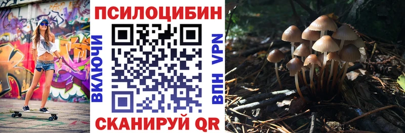 кракен ТОР  Старая Русса  Галлюциногенные грибы прущие грибы 